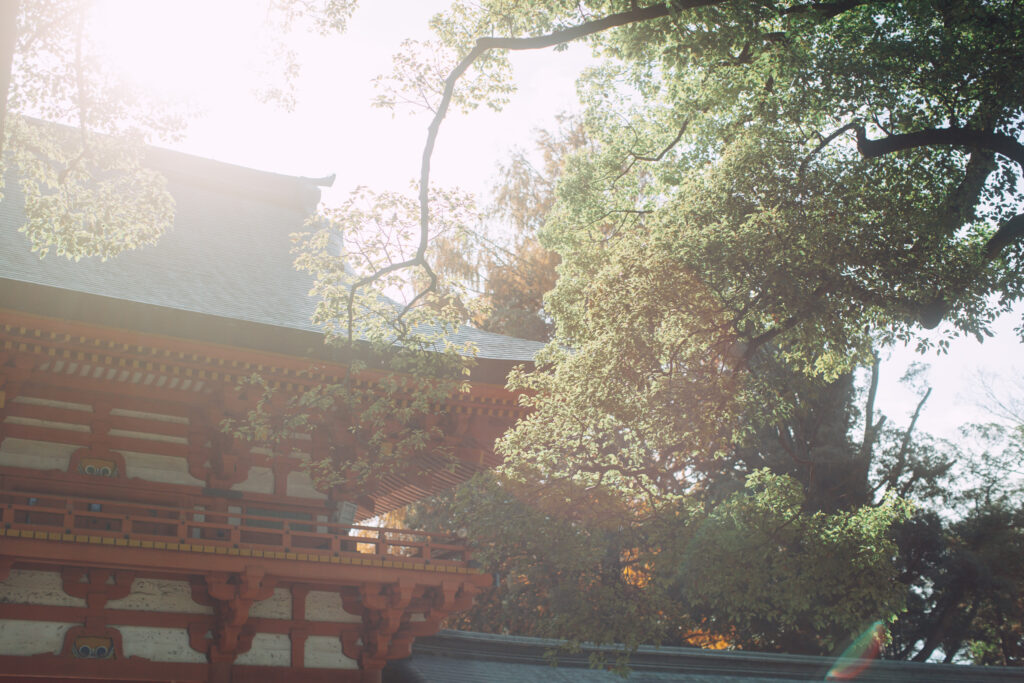 埼玉　東京　お宮参り　出張撮影　大宮氷川神社