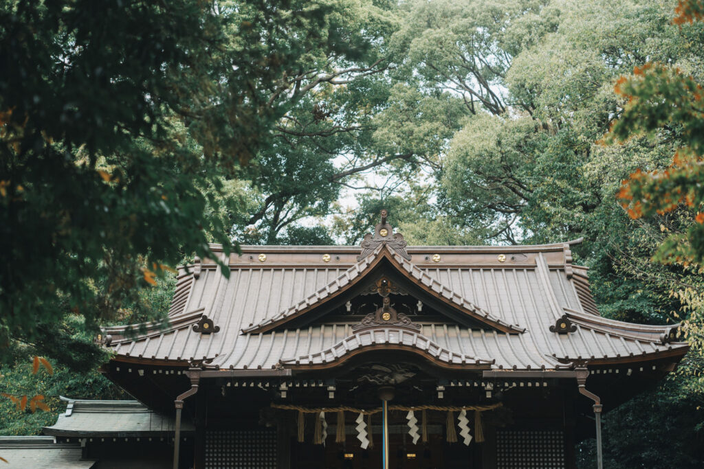 代々木八幡宮　七五三　出張撮影